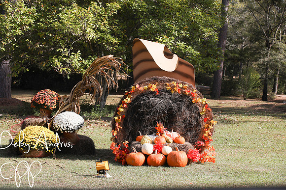 Mums and pumpkins to sit the mood
