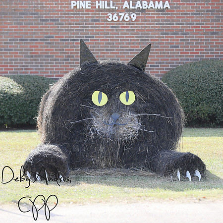 The Black Cat...One of my Favorites