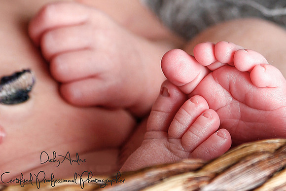 Newborn in Studio 3
