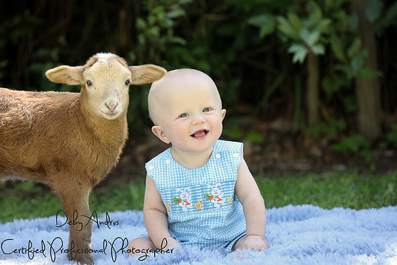 Lamb Session 8