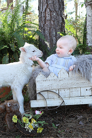 Lambs Session 10