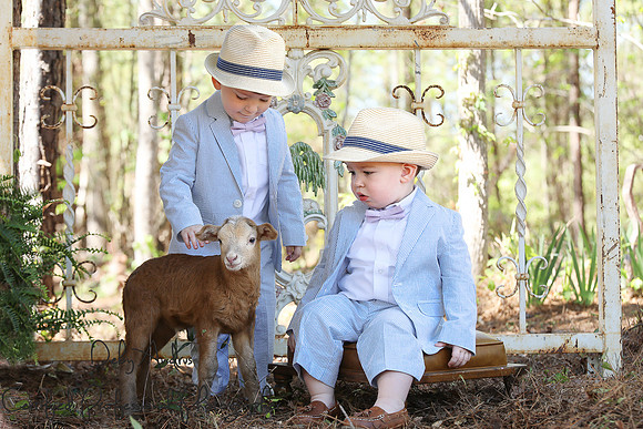 Lamb Session 11