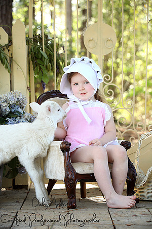 Lambs Session 19
