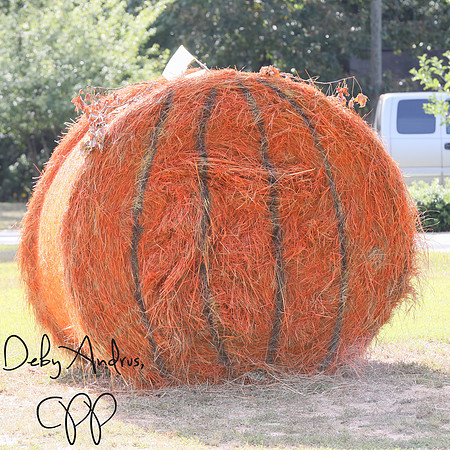 Pumkin